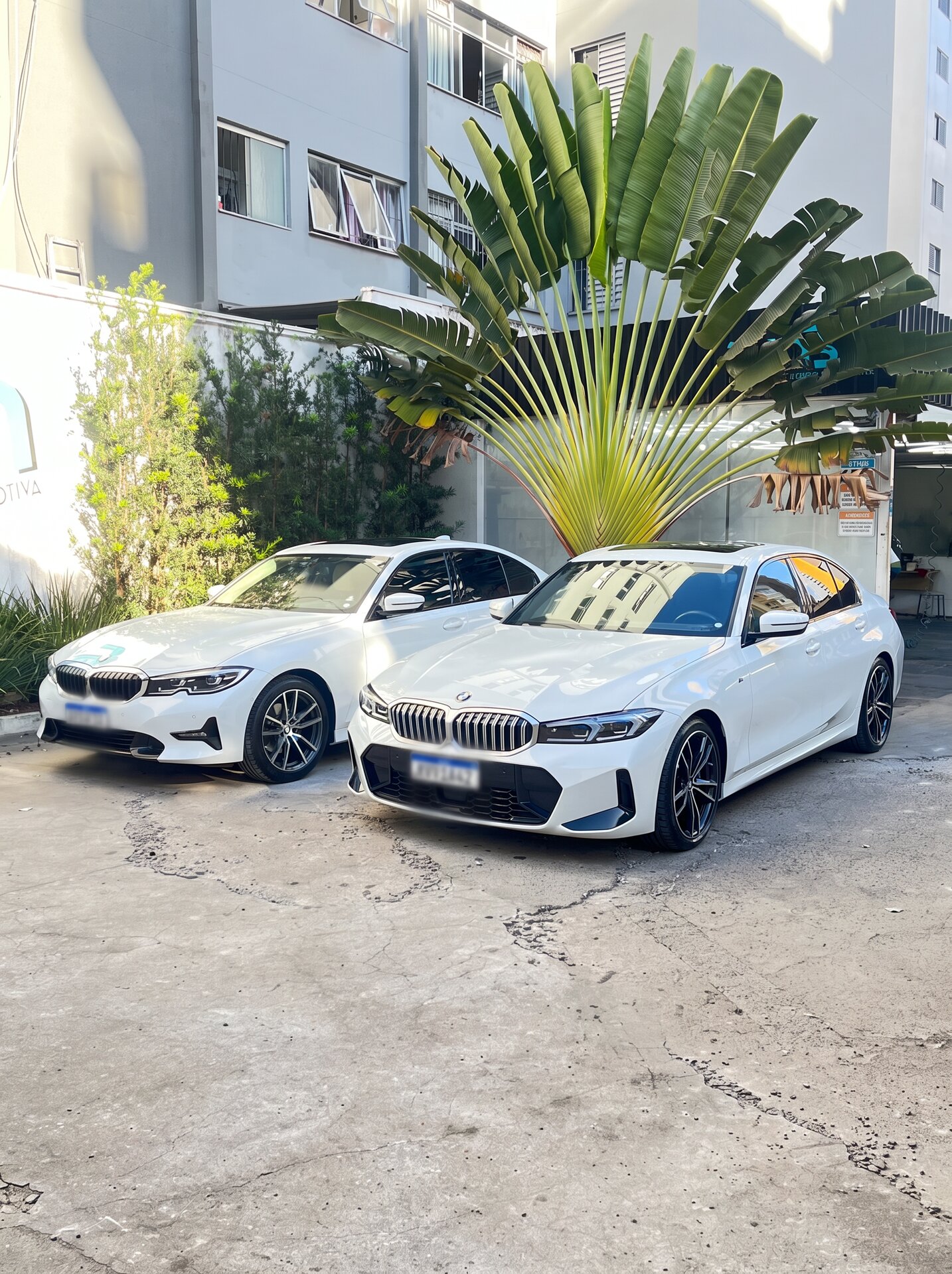 Dois carros brancos no pátio do estúdio da Wash Car Detail, em Maringá